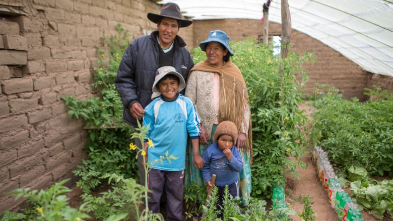 Obdobie 2019 – 2028 vyhlásené Desaťročím rodinného farmárčenia